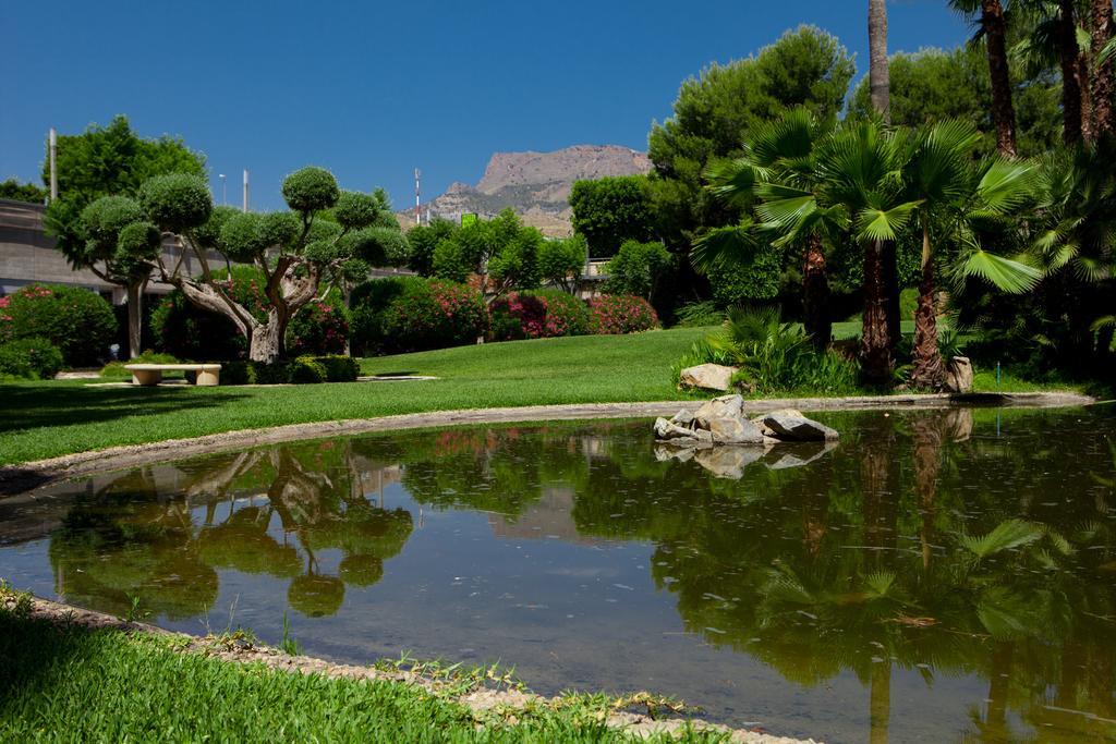 Hotel Jardines De Amaltea Lorca  Zewnętrze zdjęcie