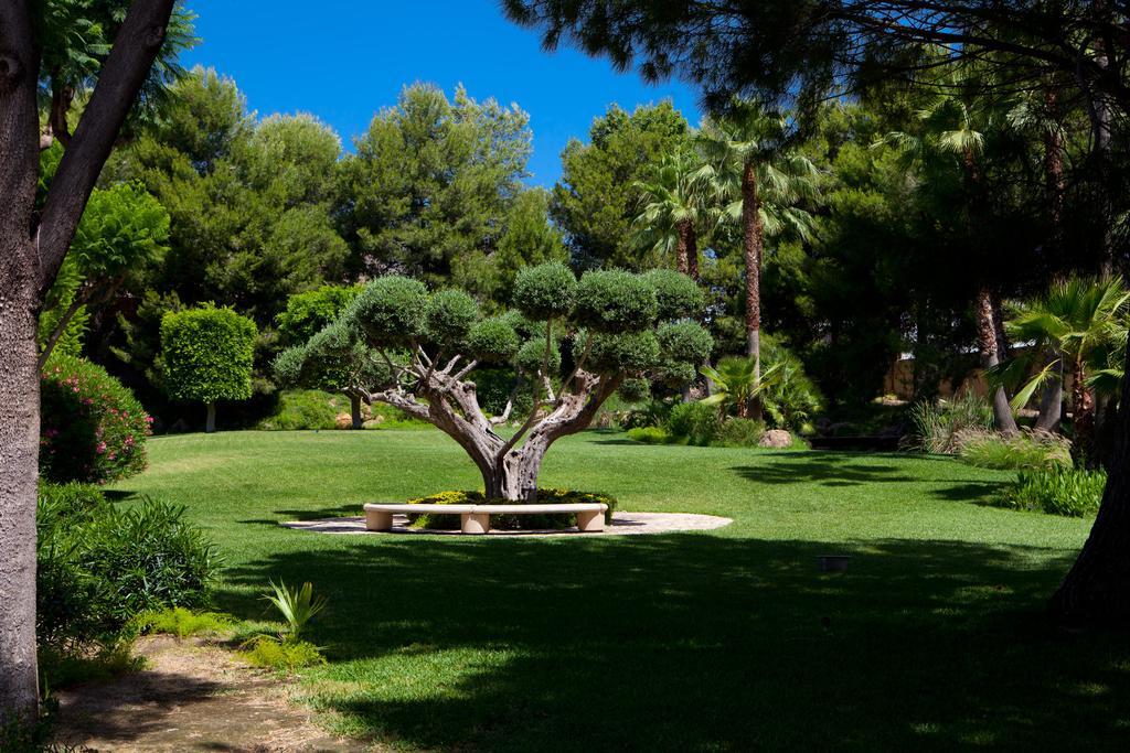 Hotel Jardines De Amaltea Lorca  Zewnętrze zdjęcie