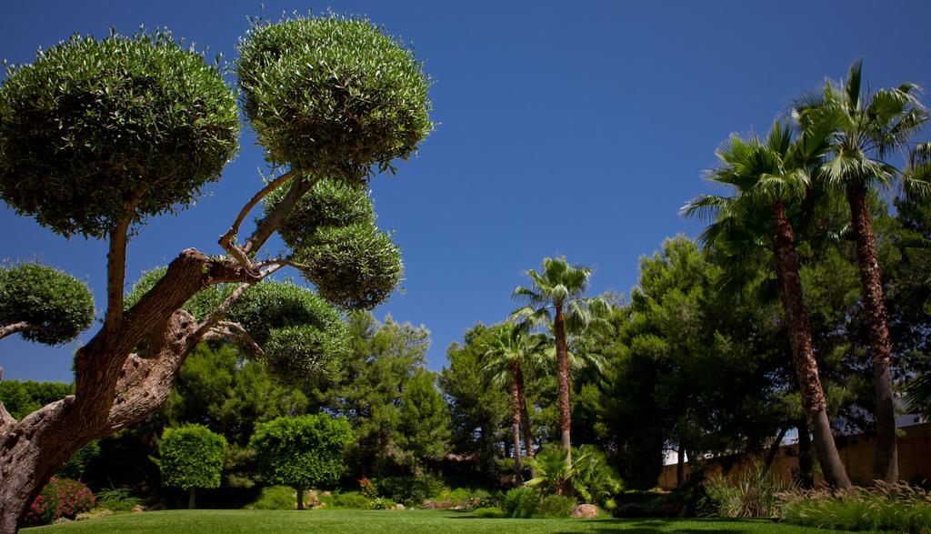 Hotel Jardines De Amaltea Lorca  Zewnętrze zdjęcie