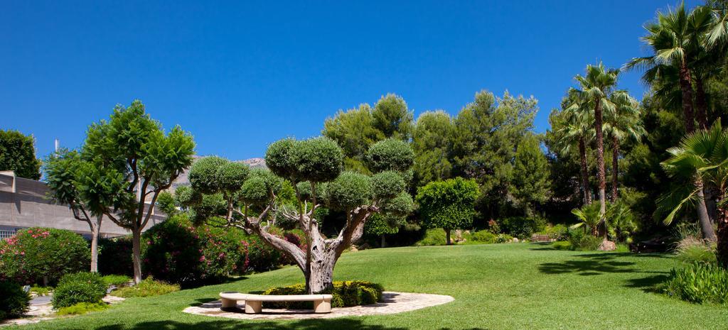 Hotel Jardines De Amaltea Lorca  Zewnętrze zdjęcie