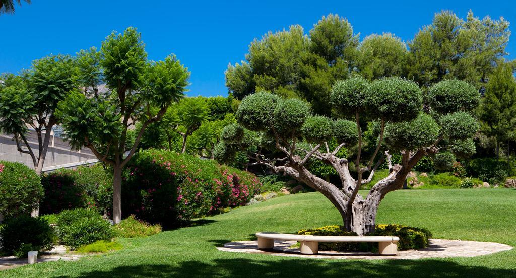 Hotel Jardines De Amaltea Lorca  Zewnętrze zdjęcie